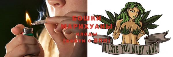 бошки Новодвинск