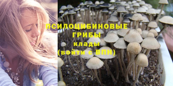 первитин Новозыбков