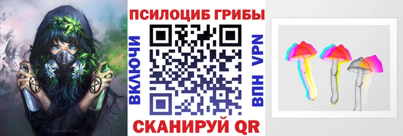 darknet какой сайт  Тарко-Сале  Псилоцибиновые грибы мицелий  закладки 